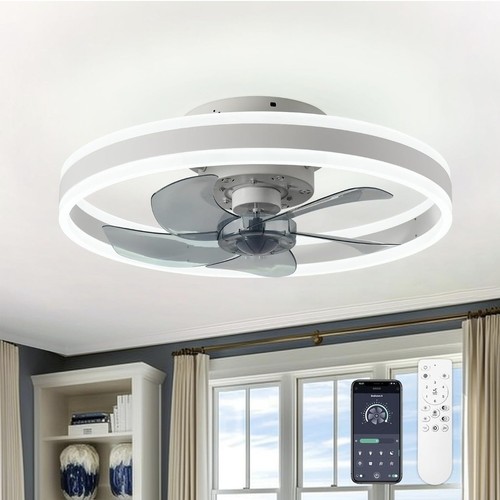 Chanfok ceiling fan with light - ceiling,