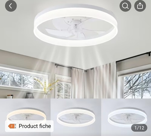 Ceiling fan with - fan,