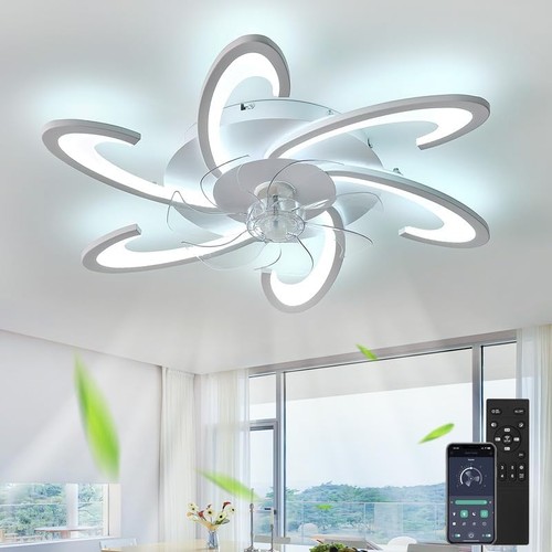 Ceiling fans with - with, lights