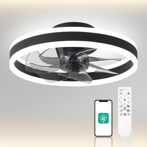 Smart ceiling fan - fan, light