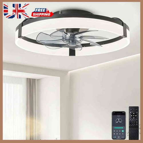 Ceiling fans with lights - ceiling, and