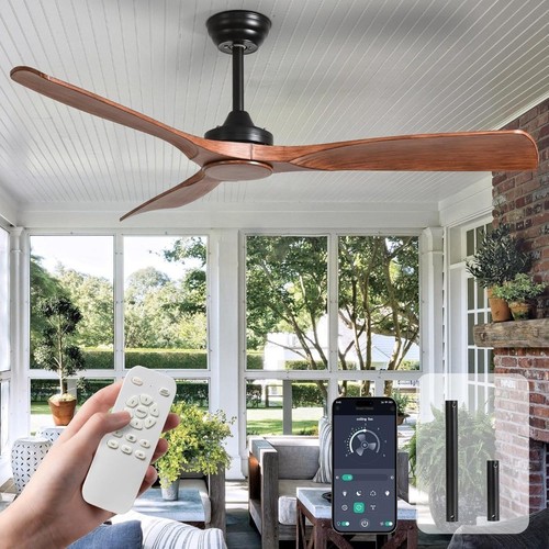 Ceiling fan with light - ceiling, modern