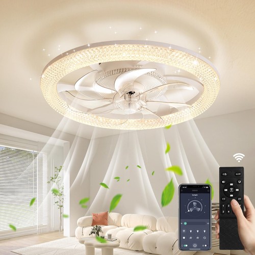 Led ceiling fan light - light, dimmable