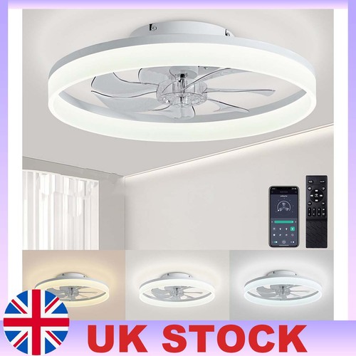 Modern ceiling fan chandelier - ceiling,
