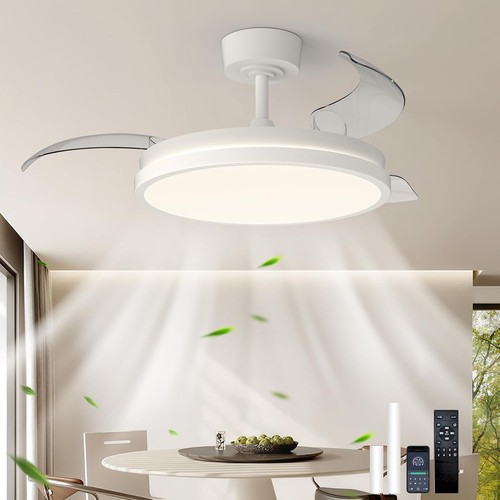 Ceiling fan light led remote - ceiling,