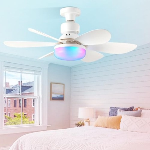 Socket ceiling fan with - socket,