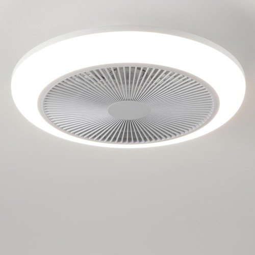 Ceiling fan light - ceiling,