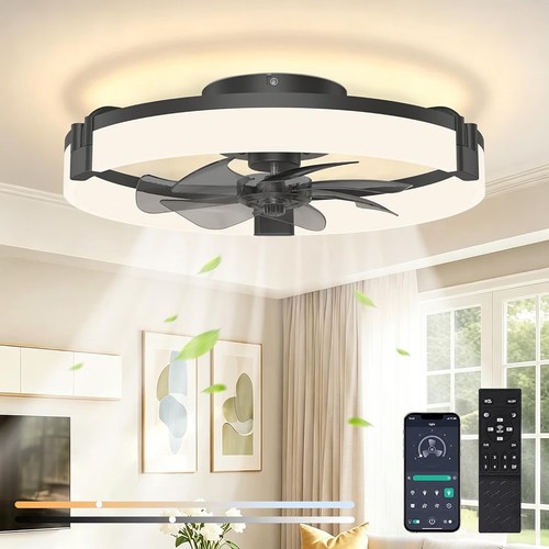 Black ceiling fan with light - fan,