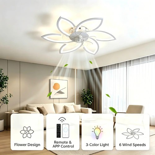 Ceiling fans with lights and - fans,
