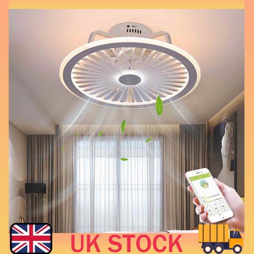 Speeds ceiling fan lights - ceiling,