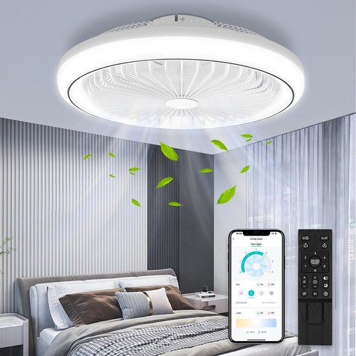 Speed large led ceiling fan - 6,
