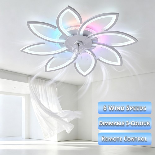 Ceiling fan with - , 6