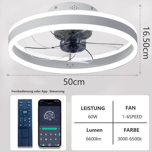 Wildcat ceiling fanlights - ceiling,