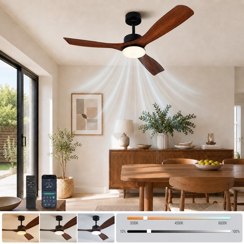 Smart ceiling fan - smart,