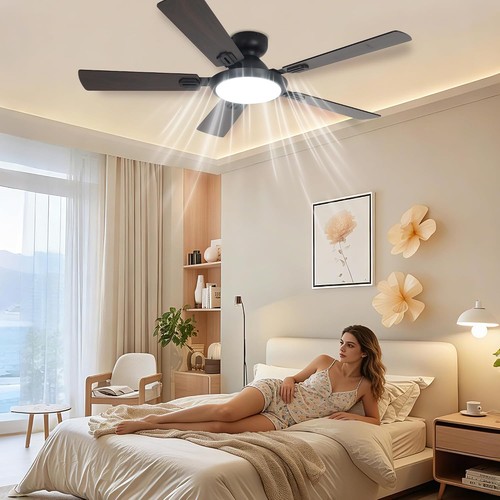 Modern ceiling fan with - 52,