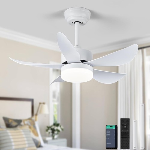 Rheafon ceiling fans - rheafon, with