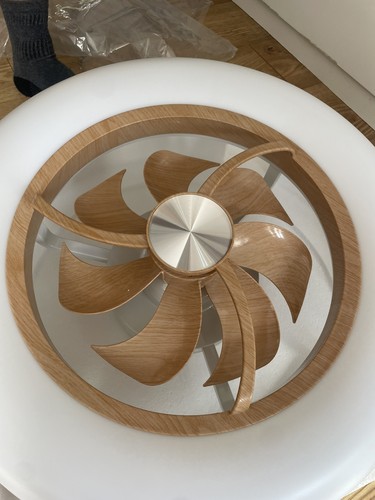 Smart flush ceiling fan - smart, 22in