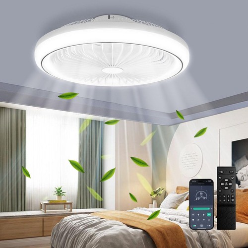Led ceiling fan with - fan, lighting