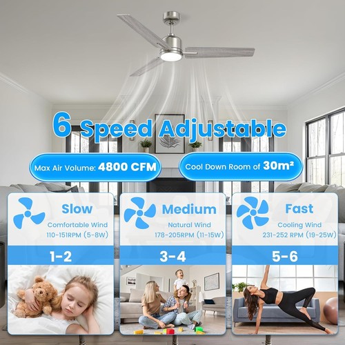Ceiling fan with lights - ceiling, 42