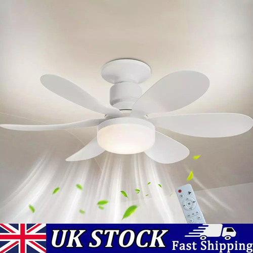 Led ceiling fan - fan, lights