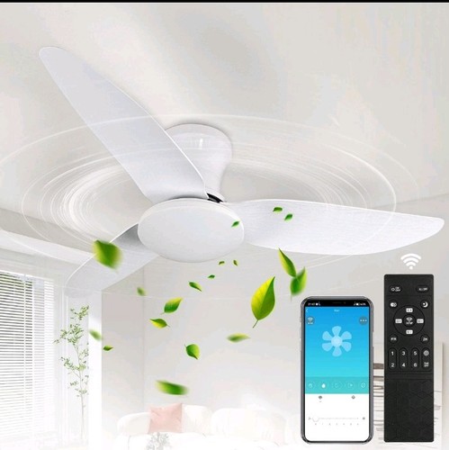 Large speed led ceiling - led,