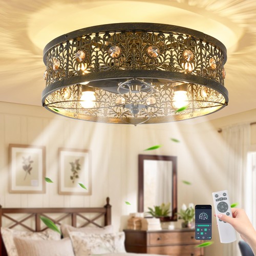 Caged ceiling fan with light - ceiling,
