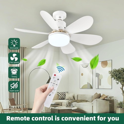 Led ceiling fan with - ceiling,