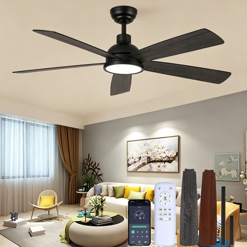 Ceiling fan light with remote - fan,